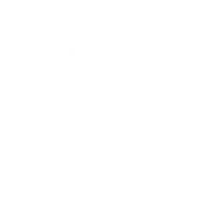 Polar Diesel