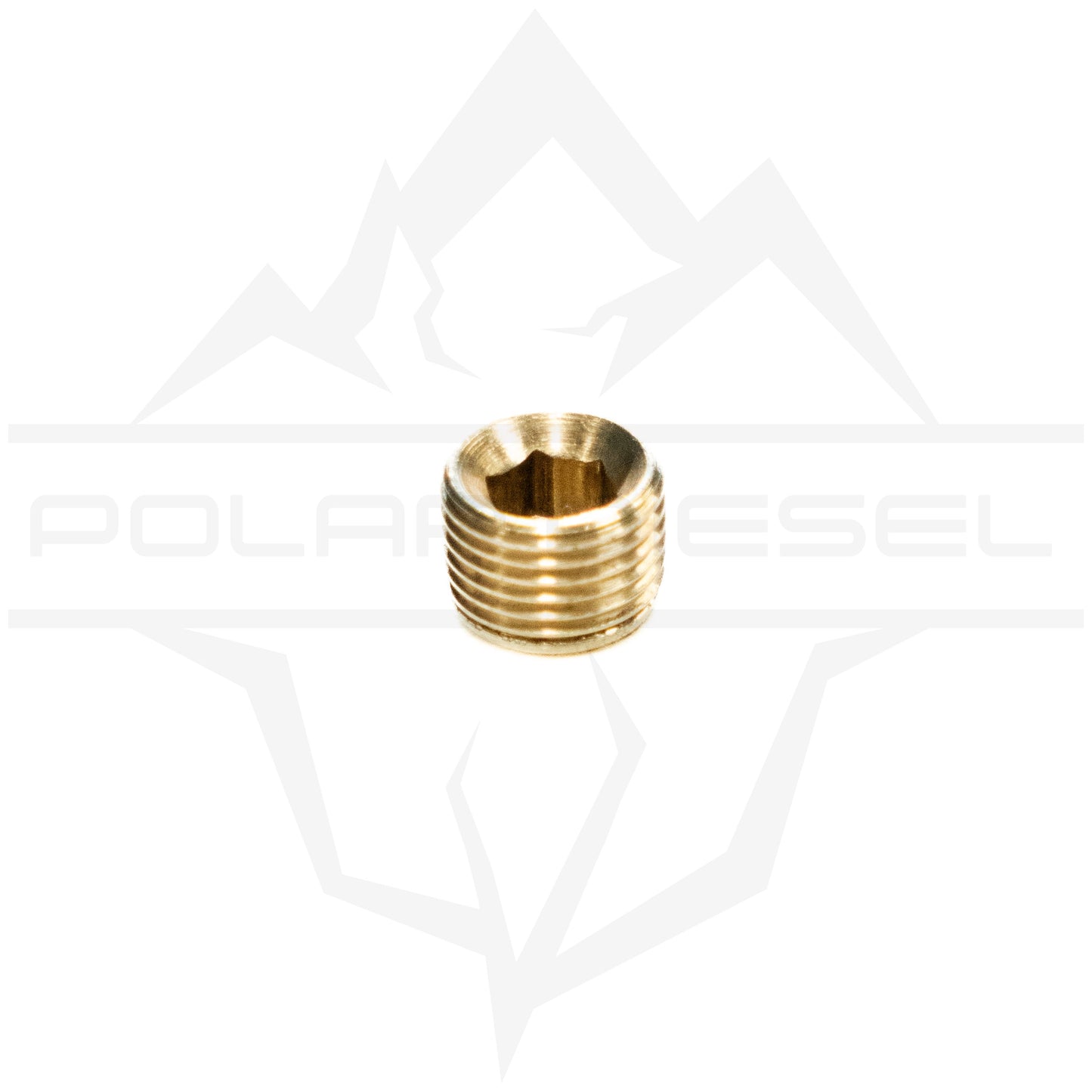 Polar Diesel 1/8th NPT Plug Hardware Polar Diesel 