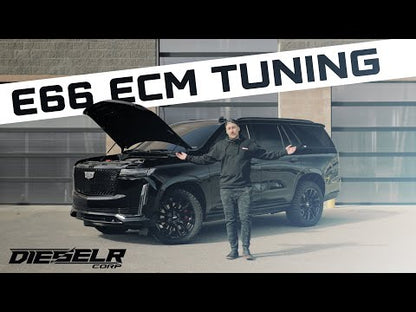 GM E66 ECM Service (Global B)